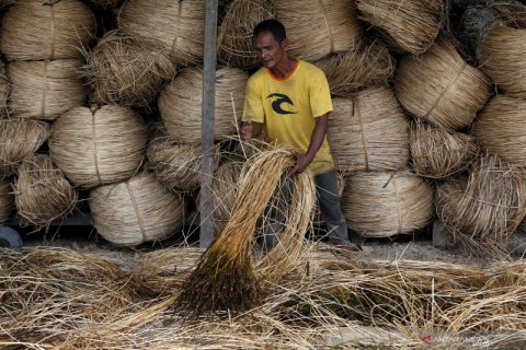 Produksi rotan untuk hilirisasi industri
