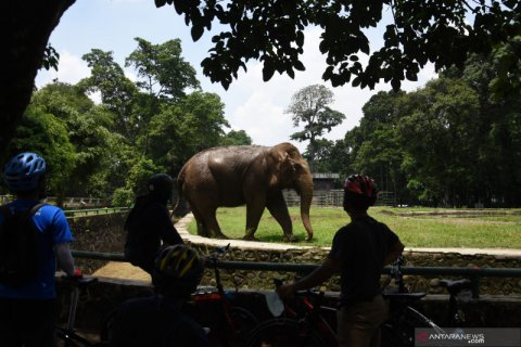 Warga berlibur ke Taman Margasatwa Ragunan