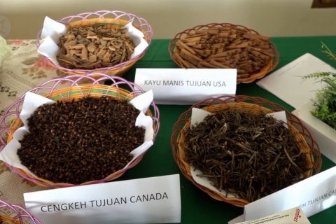 Komoditas perkebunan jadi penyumbang ekspor terbesar pada 2020