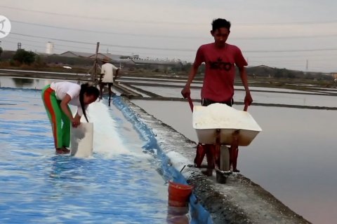 Presiden inginkan perbaikan garam nasional dari hulu hingga hilir