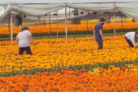 Perayaan Hari Kematian di Meksiko tak terhenti karena pandemi