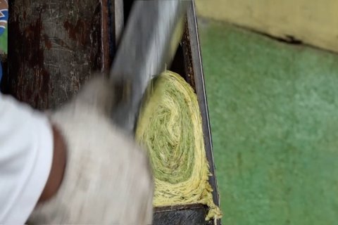 Tembakau berkualitas dari kaki Gunung Sinabung