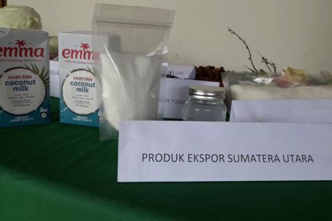Badan karantina pertanian lepas ekspor santan kelapa perdana di Sumut