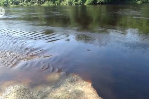 Bengawan solo tercemar limbah