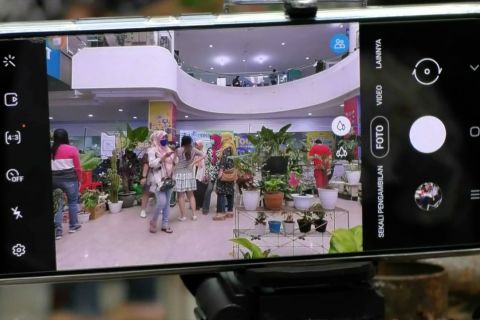 Konsep baru bursa tanaman hias unik dan langka