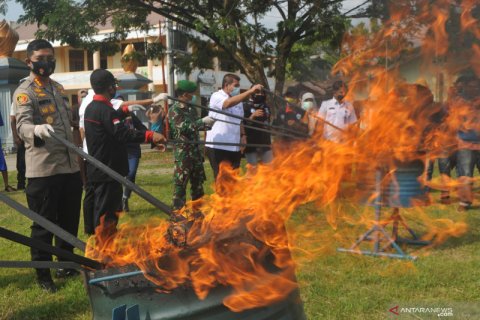 Pemusnahan ganja BNNP Sumbar