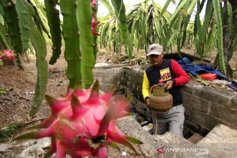 Modifikasi mesin pompa air berbahan bakar gas untuk pengairan