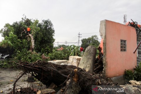 Dampak angin kencang di Sidoarjo