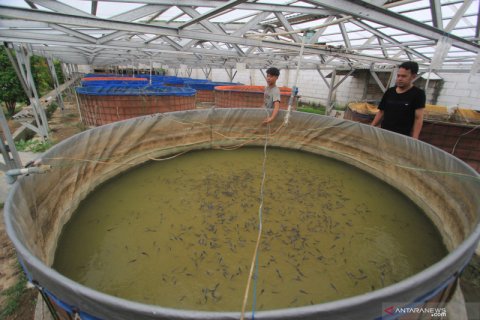 Pemberdayaan ekonomi di pondok pesantren