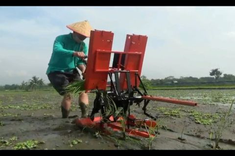 BPTP Yogyakarta ungkap jurus pertanian hadapi La Nina