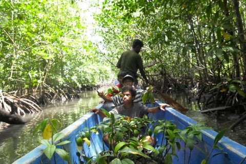 Misi EcoNusa, potret inisiatif warga menjaga hutan dan laut