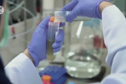 MUI pastikan sertifikasi kehalalan tak hambat vaksinasi