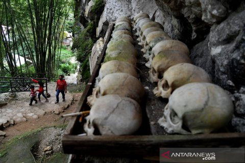 Wisata Ketekesu Toraja