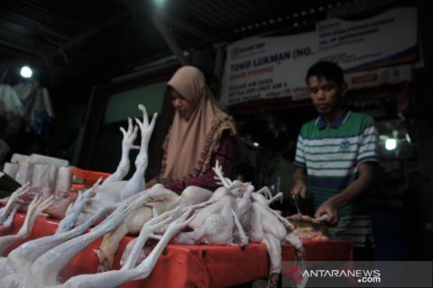 Kenaikan ayam potong di Palembang