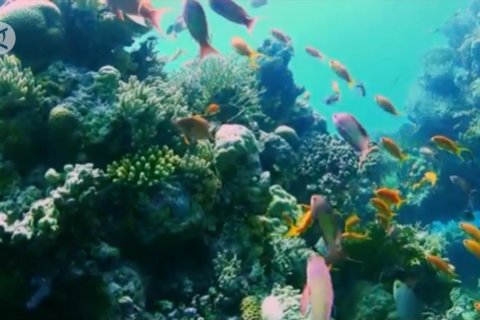 14 pemimpin dunia berkomitmen mengelola laut berkelanjutan