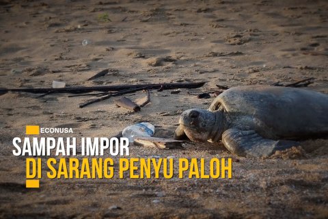 Sampah impor di sarang penyu Paloh