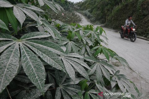 Hujan abu vulkanik Merapi