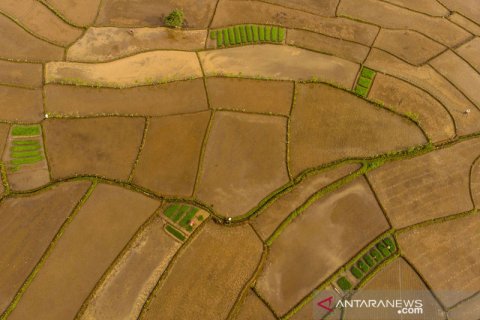 Alokasi KUR untuk revitalisasi alat pertanian