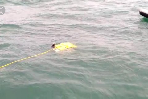 Kotak hitam Sriwijaya Air SJ-182 ditemukan