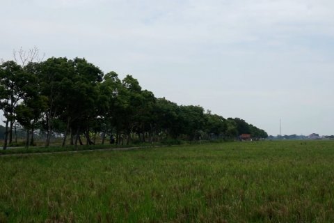 Ternyata sengketa tanah di 2020 justru meningkat