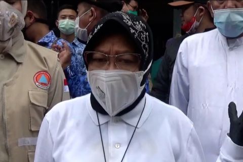 Tinjau lokasi banjir di Jember, Mensos ajak lestarikan lingkungan