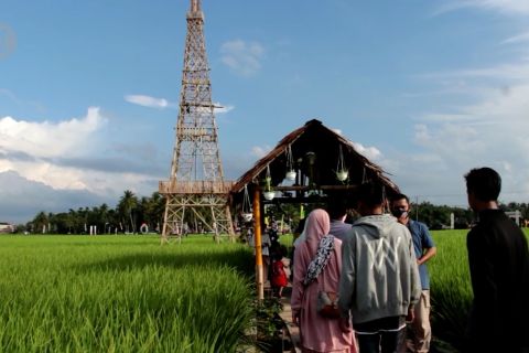 Didanai BUMD, Wisata Sawah Gampong Mane Kareung jadi favorit