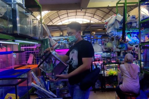 Raup puluhan juta dari bisnis peralatan ikan hias