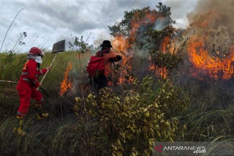 Karhutla di Taman Nasional Rawa Aopa Watumohai