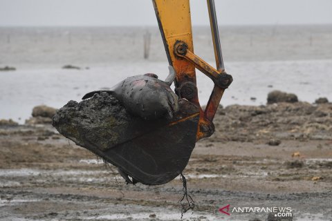 Penguburan Paus Pilot terdampar di Bangkalan