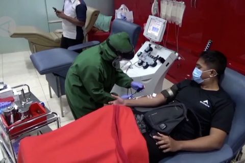 Begini kendala PMI kekurangan stok darah plasma konvalesen