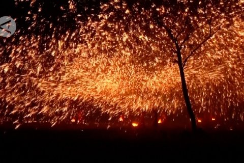 Semarak Festival Musim Semi di berbagai provinsi di China