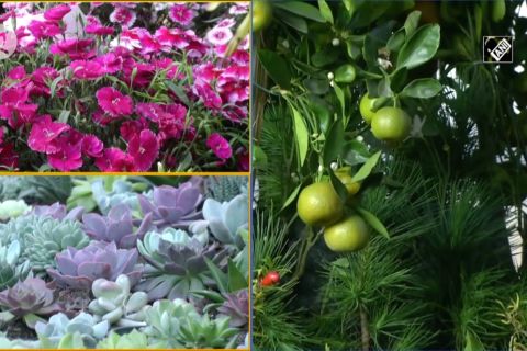 Festival bunga selama 5 hari dimulai di Siliguri