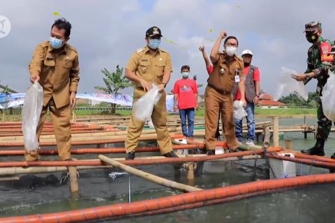 Pemkot Tangerang ajak petani mandiri pangan