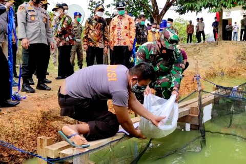 Pemkab Bangka hibahkan 10.000 benih ikan dorong ketahanan pangan