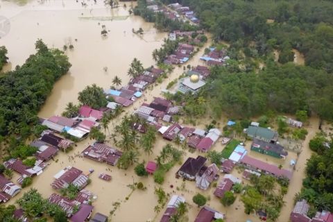 Dinas Perkebunan dan Peternakan Kalsel validasi data kerugian petani dan peternak