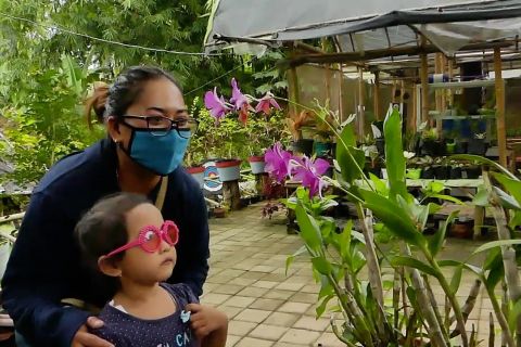 PLN dukung pengembangan wisata edukasi kebun anggrek