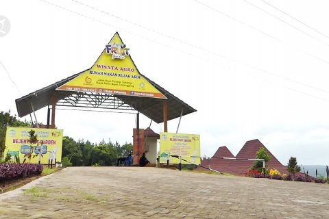 Wisata Bejen Fruit Garden usung konsep perkebunan modern
