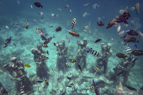 Wisata Gili Meno