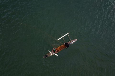 TANGKAPAN IKAN NELAYAN