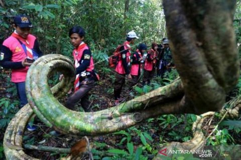 Edukasi dan pengenalan Kawasan Ekosistem Leuser