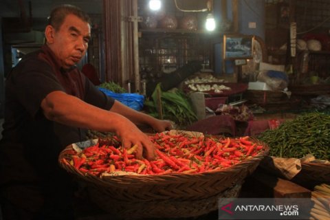 Harga Cabai Rawit Naik Di Padang