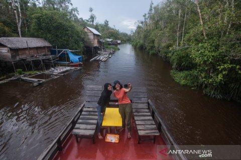 Wisata susur sungai Taman Nasional Tanjung Puting