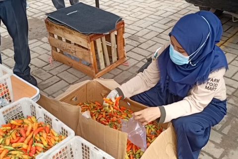 Disdagin Cilegon dan Banten stabilkan harga rawit merah