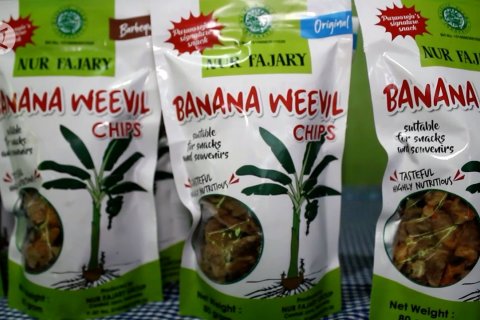 Keripik bonggol pisang Purworejo tembus pasar ekspor