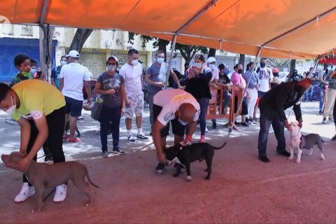 Melongok pertunjukan anjing dalam terapi penyandang disabilitas