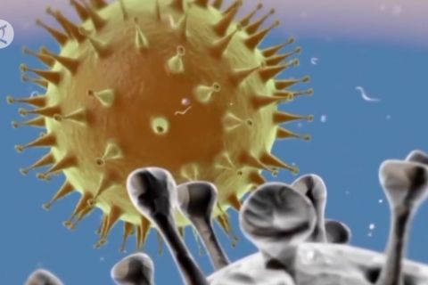 Wiku: Sebagian besar mutasi virus tidak menurunkan efikasi vaksin