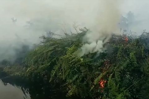 Jambi resmi bersatus siaga darurat karhutla