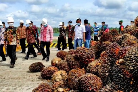 Keberadaan pabrik sawit ketujuh di Bangka tekan angka pengangguran