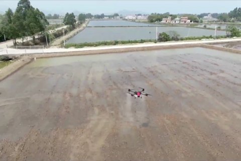 Menerapkan teknologi tinggi di ladang pertanian Taishan