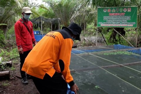 KLHK dorong intensifikasi budi daya untuk cegah karhutla di Kalteng